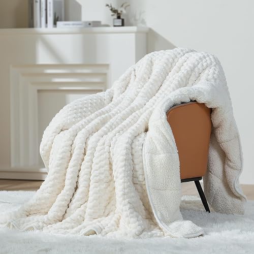Mr. Sandman Weighted Blankets for Adults Queen Size 15lbs, Warm Sherpa — Real-world performance testing in action